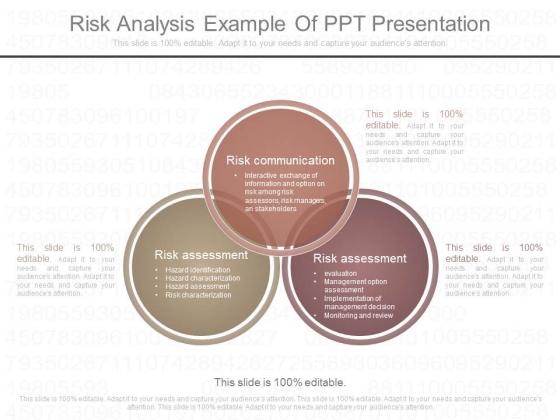 Risk Analysis Example Of Ppt Presentation
