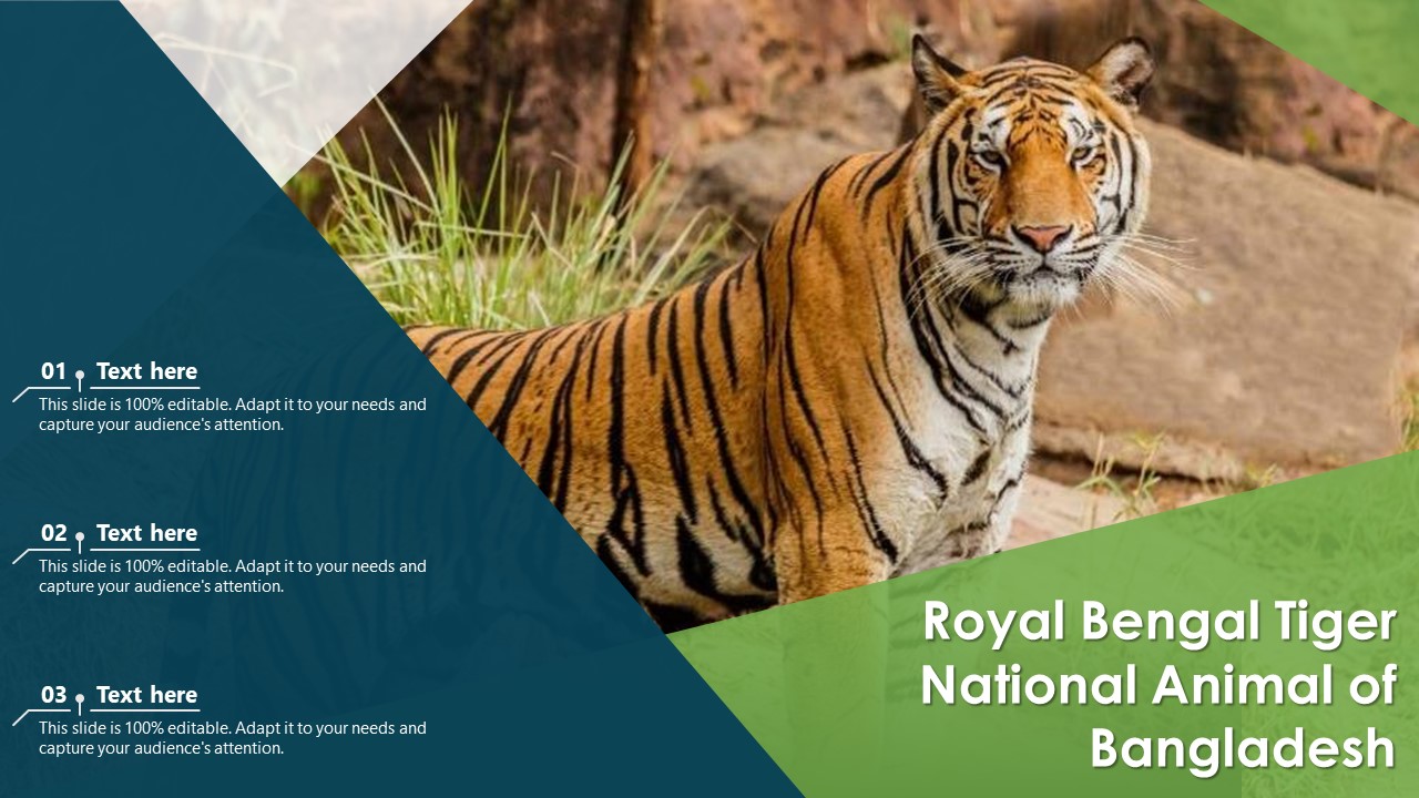 Royal Bengal Tiger National Animal Of Bangladesh Ppt PowerPoint  Presentation Gallery Graphics Download PDF - PowerPoint Templates