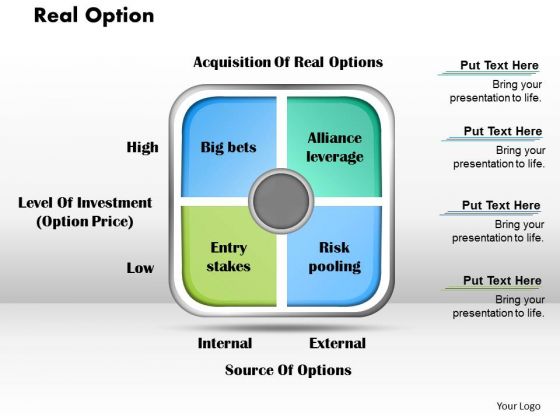 Real Option Business PowerPoint Presentation Real Option Business PowerPoint Presentation