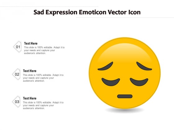 Sad Expression Emoticon Vector Icon Ppt PowerPoint Presentation Pictures Topics PDF