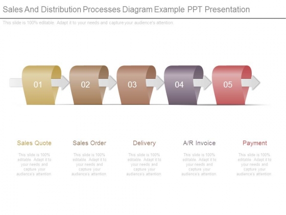 Sales And Distribution Processes Diagram Example Ppt Presentation