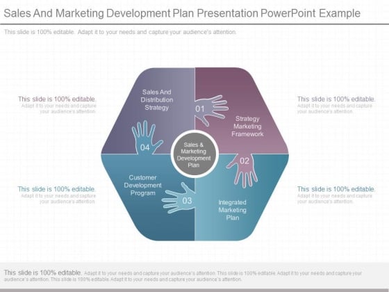 Sales And Marketing Development Plan Presentation Powerpoint Example Sales And Marketing Development Plan Presentation Powerpoint Example