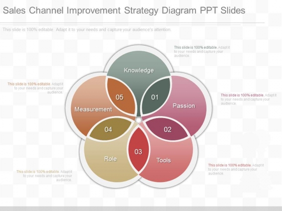 Sales Channel Improvement Strategy Diagram Ppt Slides Sales Channel Improvement Strategy Diagram Ppt Slides