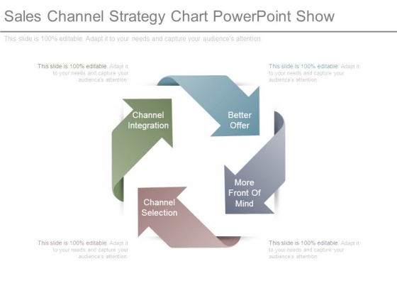 Sales Channel Strategy Chart Powerpoint Show Sales Channel Strategy Chart Powerpoint Show