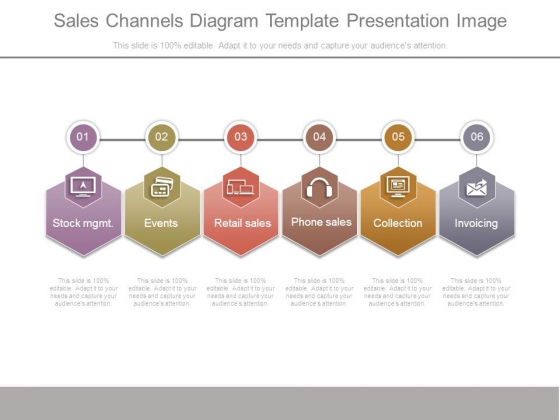 Sales Channels Diagram Template Presentation Image