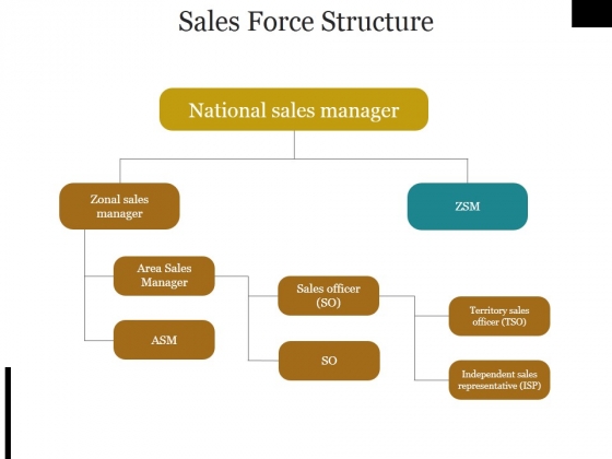Sales Force Structure Ppt PowerPoint Presentation Icon Templates