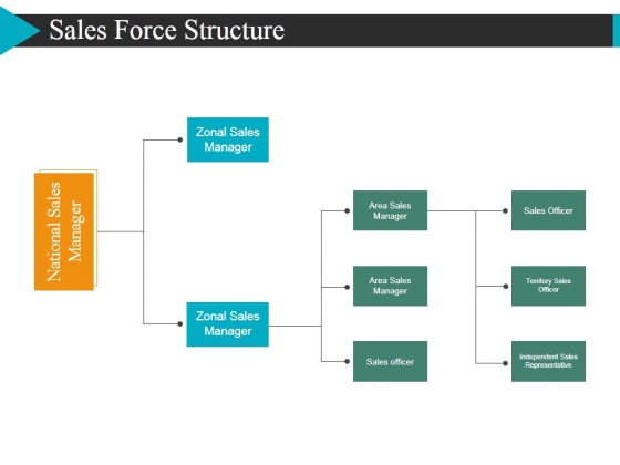 Sales Force Structure Ppt PowerPoint Presentation Show