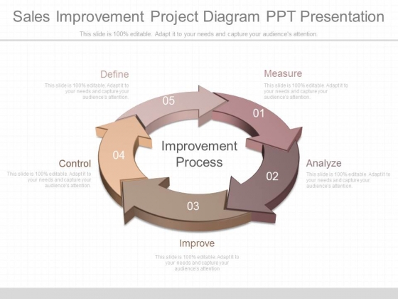 Sales Improvement Project Diagram Ppt Presentation