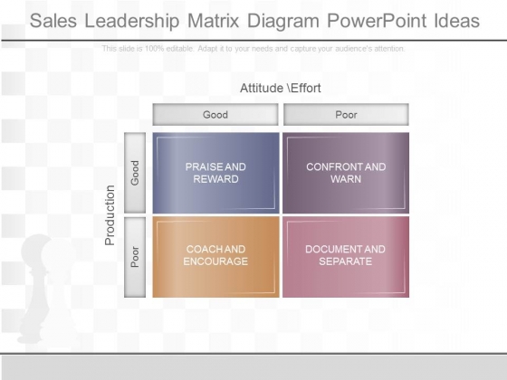 Sales Leadership Matrix Diagram Powerpoint Ideas