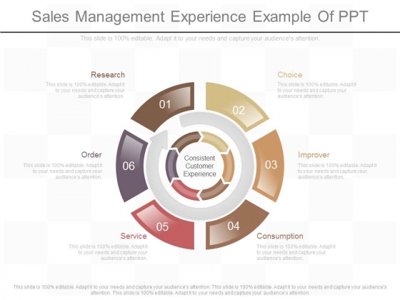 Sales Management Experience Example Of Ppt Sales Management Experience Example Of Ppt