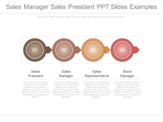 Sales Manager Sales President Ppt Slides Examples