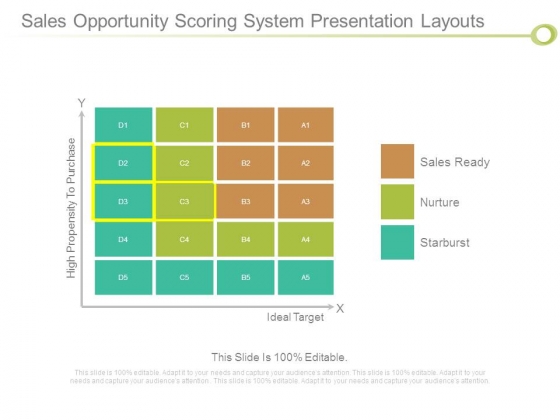 Sales Opportunity Scoring System Presentation Layouts Sales Opportunity Scoring System Presentation Layouts