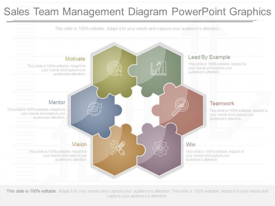 Sales Team Management Diagram Powerpoint Graphics