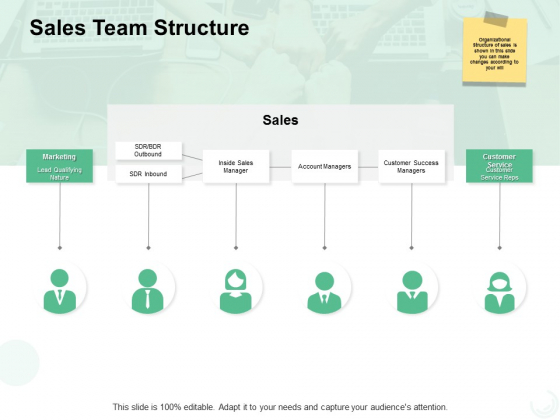 Sales Team Structure Ppt PowerPoint Presentation Model Themes