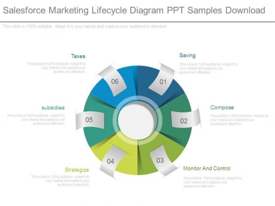 salesforce marketing lifecycle diagram ppt samples download ppt samples
