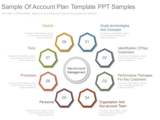 Sample Of Account Plan Template Ppt Samples