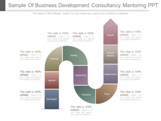 Sample Of Business Development Consultancy Mentoring Ppt Sample Of Business Development Consultancy Mentoring Ppt