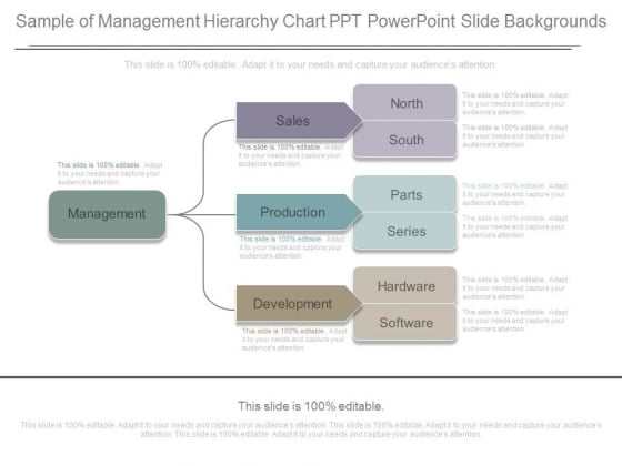 Management Hierarchy Chart Template