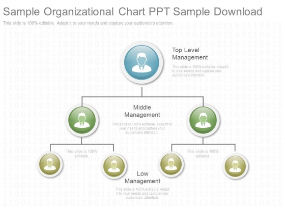 Organizational Chart Ppt Slides