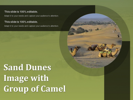 Sand Dunes Image With Group Of Camel Ppt PowerPoint Presentation File Formats PDF