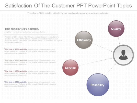 Satisfaction Of The Customer Ppt Powerpoint Topics