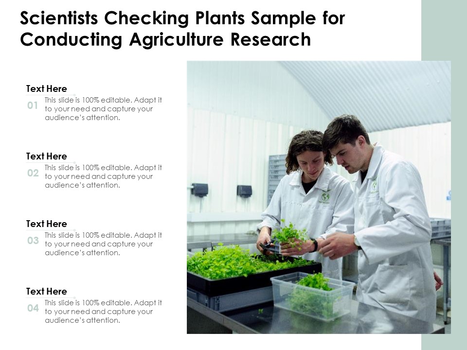 Scientists Checking Plants Sample For Conducting Agriculture Research Ppt PowerPoint Presentation Slides Display PDF