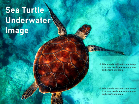 Sea Turtle Underwater Image Ppt PowerPoint Presentation Outline Picture PDF