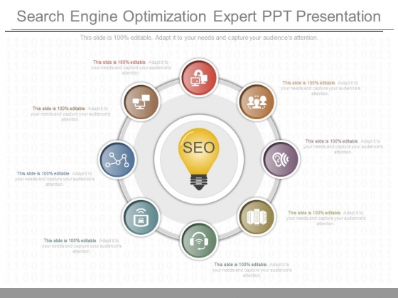 Search Engine Optimization Expert Ppt Presentation Search Engine Optimization Expert Ppt Presentation