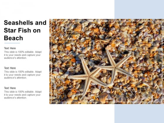 Seashells And Star Fish On Beach Ppt Powerpoint Presentation Outline Grid Seashells And Star Fish On Beach Ppt Powerpoint Presentation Outline Grid