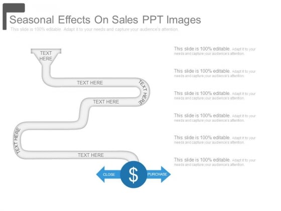 Seasonal Effects On Sales Ppt Images