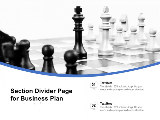 Section Divider Page For Business Plan Ppt PowerPoint Presentation Ideas Format Ideas PDF Section Divider Page For Business Plan Ppt PowerPoint Presentation Ideas Format Ideas PDF