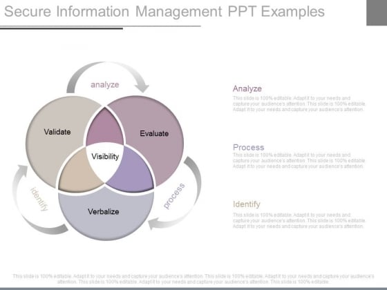 Secure Information Management Ppt Examples Secure Information Management Ppt Examples