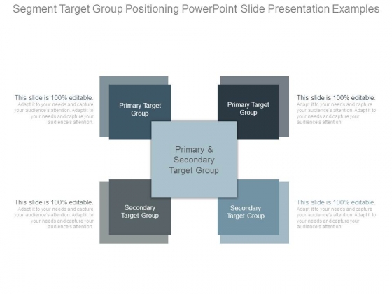 Segment Target Group Positioning Powerpoint Slide Presentation Examples Segment Target Group Positioning Powerpoint Slide Presentation Examples