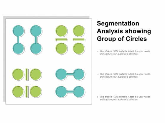 Segmentation Analysis Showing Group Of Circles Ppt PowerPoint Presentation Portfolio Mockup