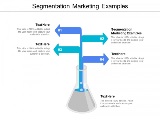 Segmentation Marketing Examples Ppt PowerPoint Presentation Professional Example Cpb Segmentation Marketing Examples Ppt PowerPoint Presentation Professional Example Cpb