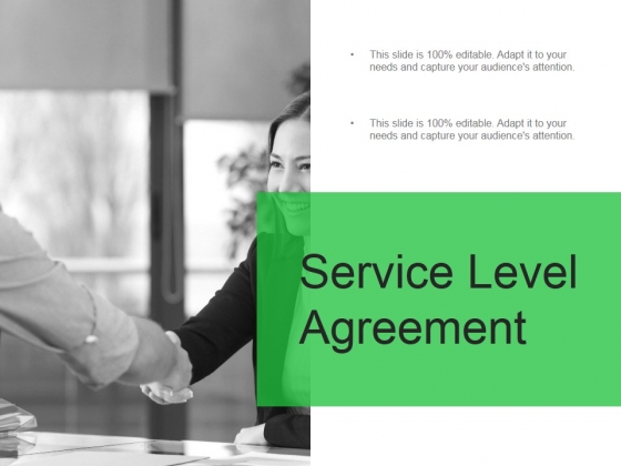 Service Level Agreement Ppt PowerPoint Presentation Guide