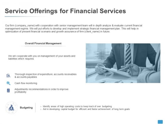Service Offerings For Financial Services Budgeting Ppt PowerPoint Presentation Professional Show Service Offerings For Financial Services Budgeting Ppt PowerPoint Presentation Professional Show