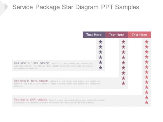 Service Package Star Diagram Ppt Samples Service Package Star Diagram Ppt Samples