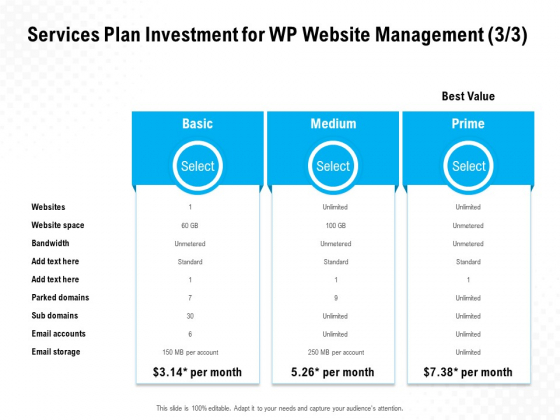 Services Plan Investment For WP Website Management Basic Ppt PowerPoint Presentation File Slides Services Plan Investment For WP Website Management Basic Ppt PowerPoint Presentation File Slides