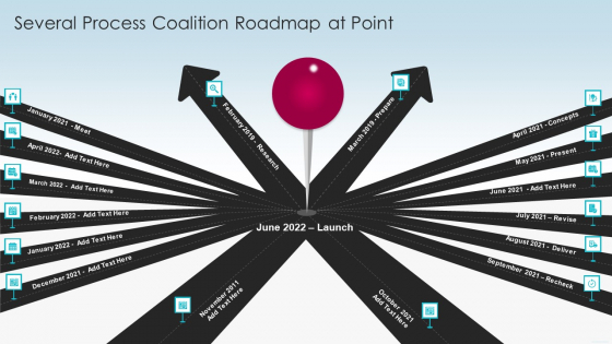 Several Process Coalition Roadmap At Point Portrait PDF Several Process Coalition Roadmap At Point Portrait PDF