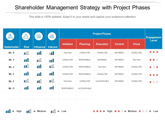 Shareholder Management Strategy With Project Phases Ppt PowerPoint Presentation File Microsoft PDF