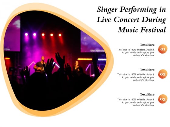 singer-performing-in-live-concert-during-music-festival-ppt-powerpoint