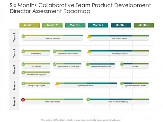 Six Months Collaborative Team Product Development Director Assessment Roadmap Topics
