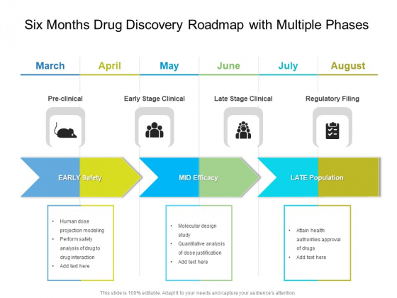 Six Months Drug Discovery Roadmap With Multiple Phases Professional