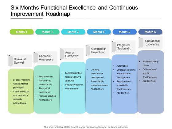 Six Months Functional Excellence And Continuous Improvement Roadmap Summary