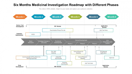 Six Months Medicinal Investigation Roadmap With Different Phases Graphics