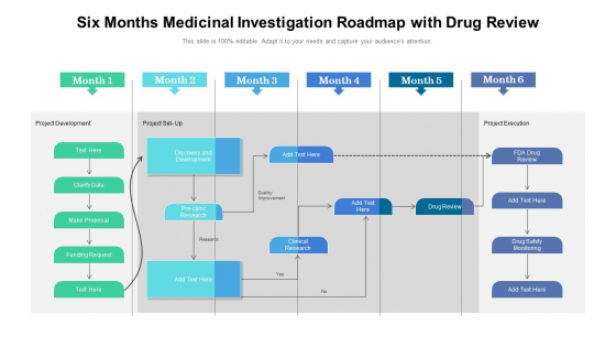 Six Months Medicinal Investigation Roadmap With Drug Review Infographics