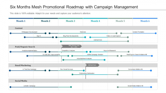 Six Months Mesh Promotional Roadmap With Campaign Management Pictures Six Months Mesh Promotional Roadmap With Campaign Management Pictures