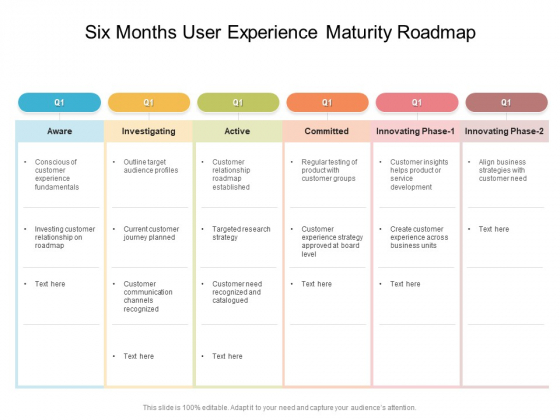 Six Months User Experience Maturity Roadmap Sample