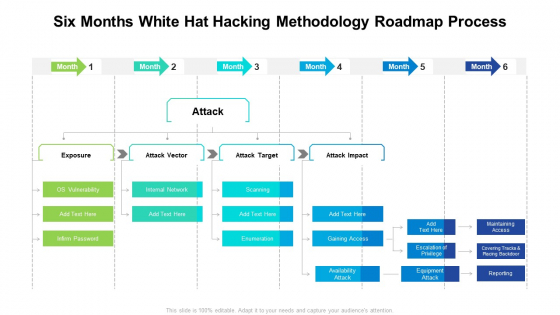 Six Months White Hat Hacking Methodology Roadmap Process Infographics